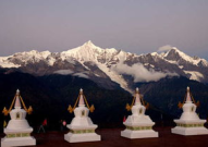 兔子写真丽江,兔子写真下的悠闲时光