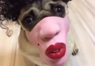 头套口罩小姐姐,头套口罩小姐姐的潮流风采